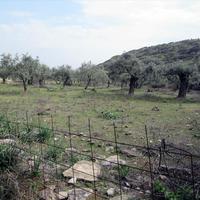Land plot in Greece