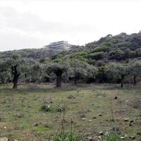 Land plot in Greece