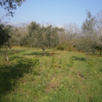Land plot in Greece