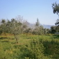 Land plot in Greece