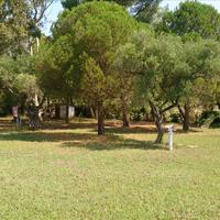 Земельный участок в Греции