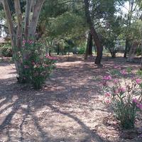 Земельный участок в Греции