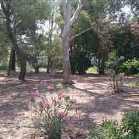 Земельный участок в Греции