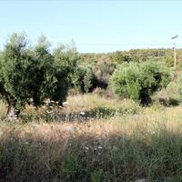 Land plot in Greece