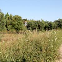 Land plot in Greece