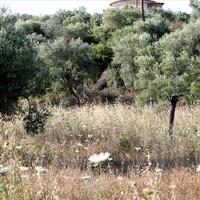 Land plot in Greece