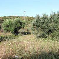 Land plot in Greece