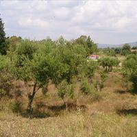 Land plot in Greece