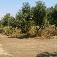 Land plot in Greece