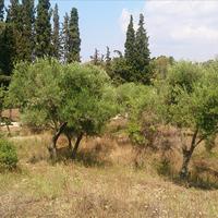 Land plot in Greece