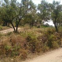 Land plot in Greece