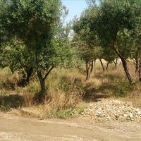 Land plot in Greece