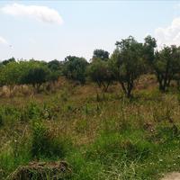 Land plot in Greece