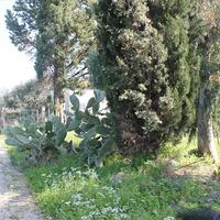 Земельный участок в Греции