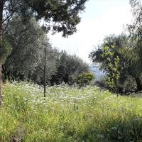 Земельный участок в Греции