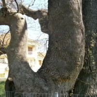 Земельный участок в Греции