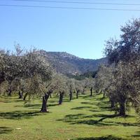 Земельный участок в Греции