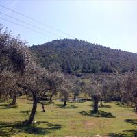 Земельный участок в Греции