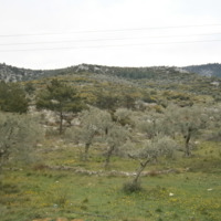 Земельный участок в Греции