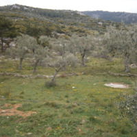 Земельный участок в Греции