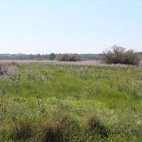 Земельный участок в Греции