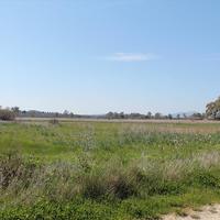 Земельный участок в Греции