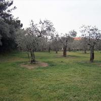 Land plot in Greece