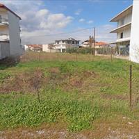 Land plot in Greece, 295 sq.m.