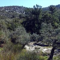 Земельный участок в Греции, 13000 кв.м.