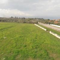 Land plot in Greece, 1000 sq.m.