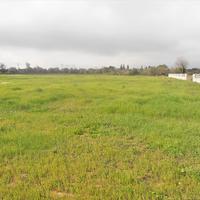 Land plot in Greece, 1000 sq.m.