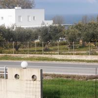 Land plot in Greece, 1000 sq.m.