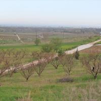 Земельный участок в Греции, 525 кв.м.