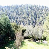 Другое в Греции, 217 кв.м.