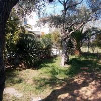 Другое в Греции, 200 кв.м.