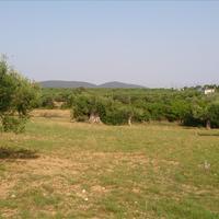 Land plot in Greece