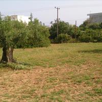 Land plot in Greece