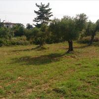 Land plot in Greece