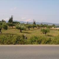 Land plot in Greece