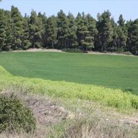 Land plot in Greece