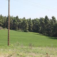 Land plot in Greece