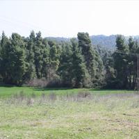 Land plot in Greece