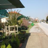 Land plot in Greece, 1350 sq.m.