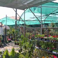 Land plot in Greece, 1350 sq.m.