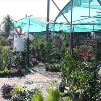 Land plot in Greece, 1350 sq.m.