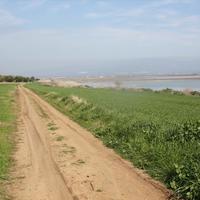 Land plot in Greece, 1600 sq.m.