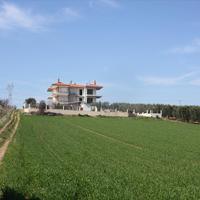 Land plot in Greece, 1600 sq.m.