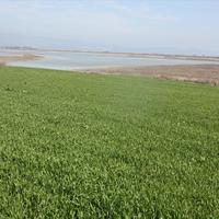 Land plot in Greece, 1600 sq.m.