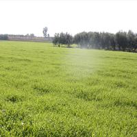 Земельный участок в Греции