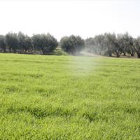 Земельный участок в Греции